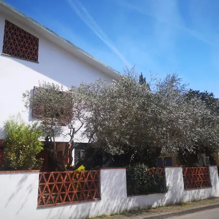 Enzo's House